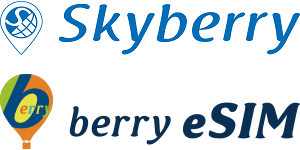 ロゴ：スカイベリーWiFi（Skyberry）